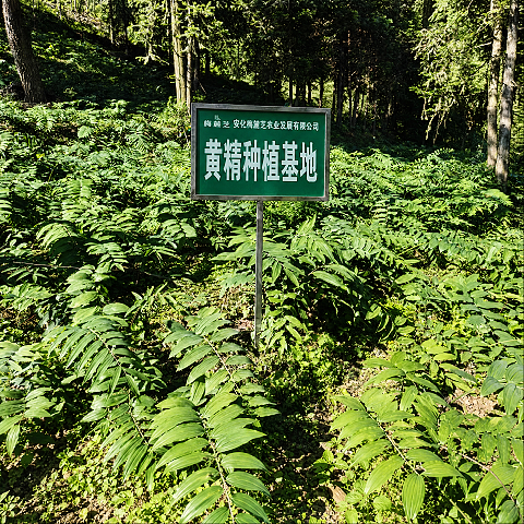 微信图片_20260827175251_62_941.jpg
